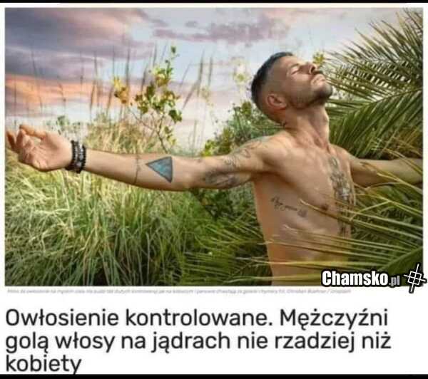 Golenie jaj