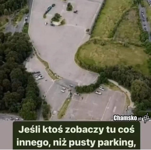 To jest zboczoną świnią...