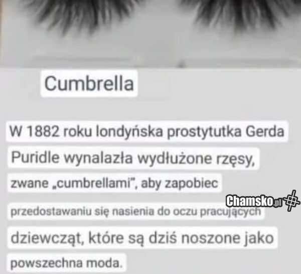 Rzęsy