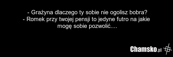 - Grażyna dlaczego ty sobie nie ogolisz bobra? - Romek przy twojej pensji to jedyne futro na jakie mogę sobie pozwolić....