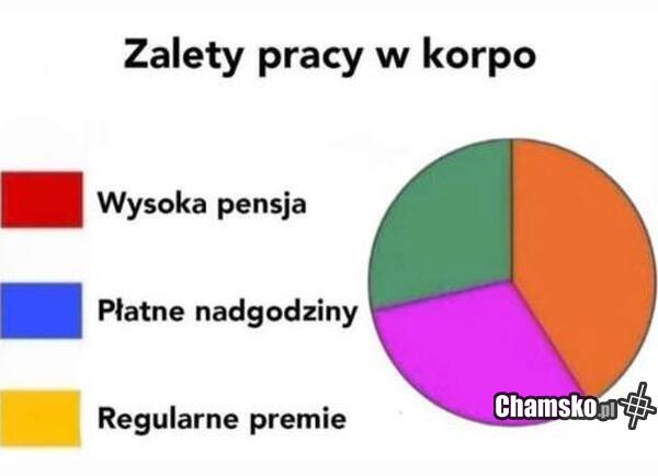 Zalety pracy w korpo