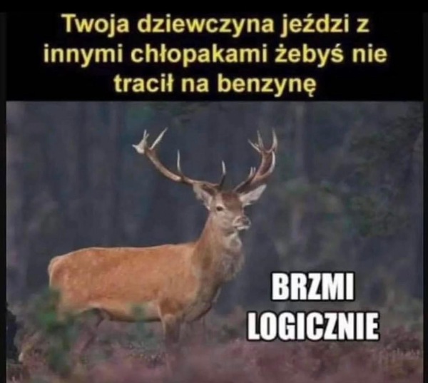 To ma sens