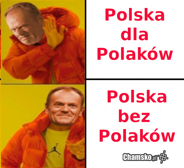 Polityka