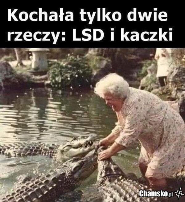 Babcia i jej ukochane