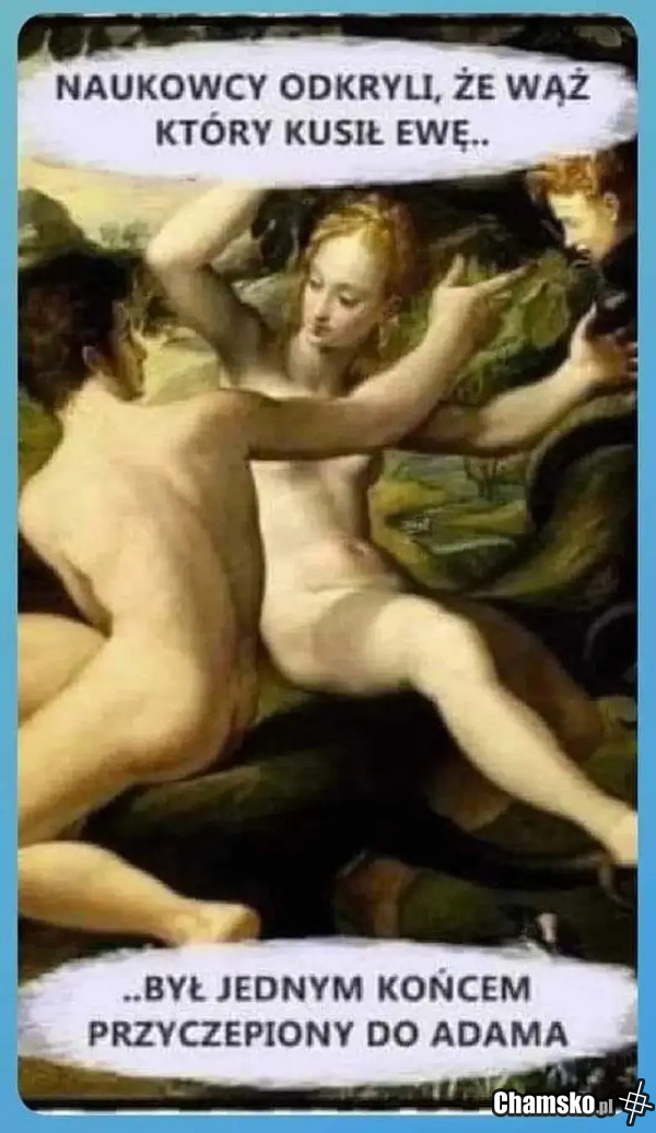 Wąż