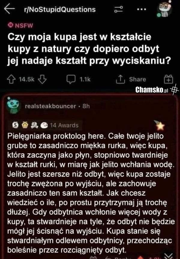 Kształt kupy