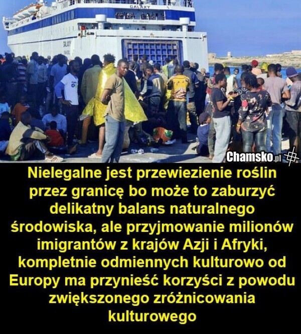 Przewóz roślin