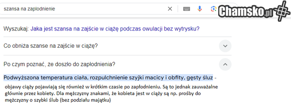 podpowiedzi google.pl