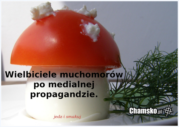 Propagana medialna