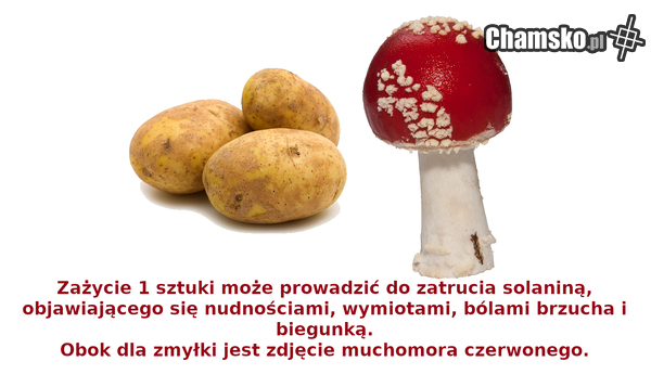 Wiedza nie boli.