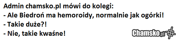 admin chamsko.pl