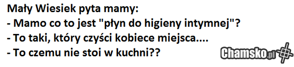 Seksizm w Zambrowie