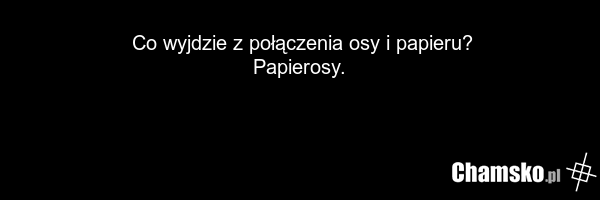 Co wyjdzie z połączenia osy i papieru? Papierosy.