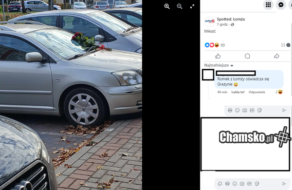 Romka już zna cały internet