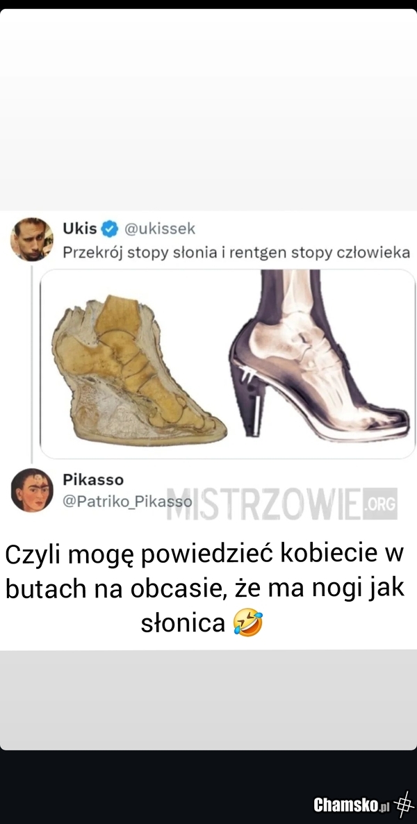 Nóżki
