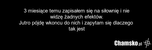 3 miesiące temu zapisałem się na siłownię i nie widzę żadnych efektów. Jutro pójdę wkoncu do nich i zapytam się dlaczego tak jest