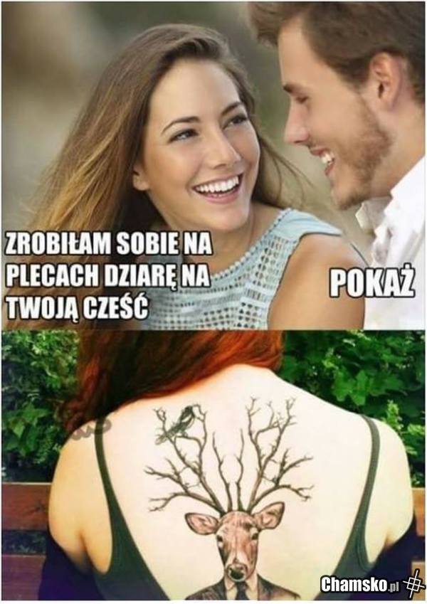 Rogacz