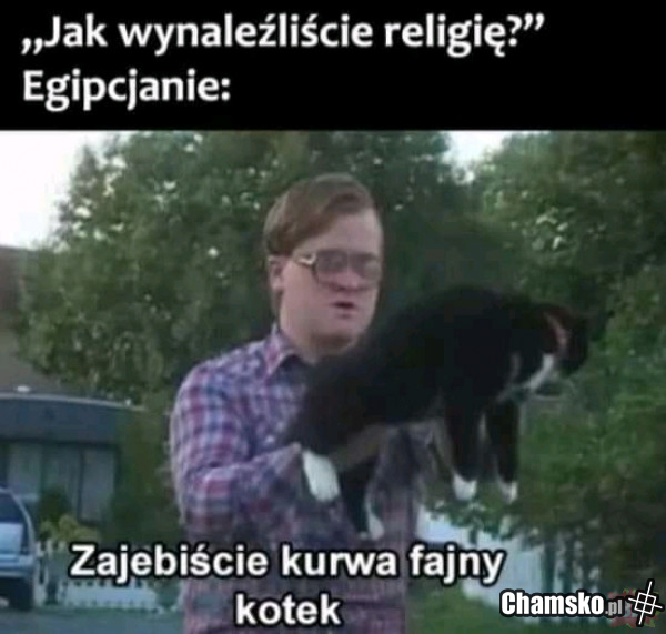 Fajny kot