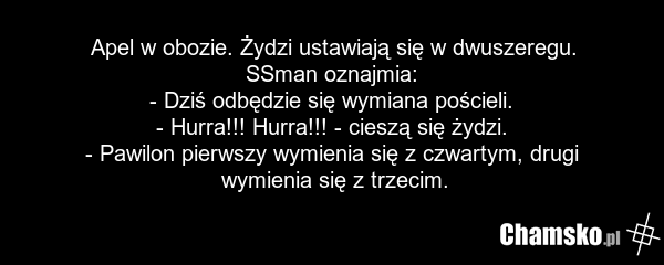 Apel w obozie. Żydzi ustawiają się w dwuszeregu. SSman oznajmia: - Dziś odbędzie się wymiana pościeli. - Hurra!!! Hurra!!! - cieszą się żydzi. - Pawilon pierwszy wymienia się z czwartym, drugi wymienia się z trzecim.