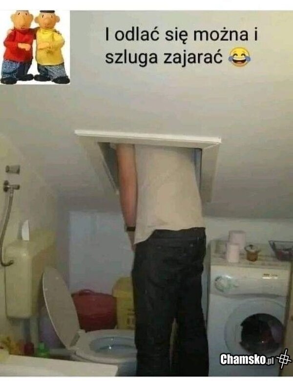 Zajebisty pomysł