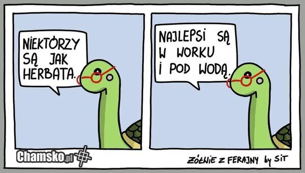 Najlepsi