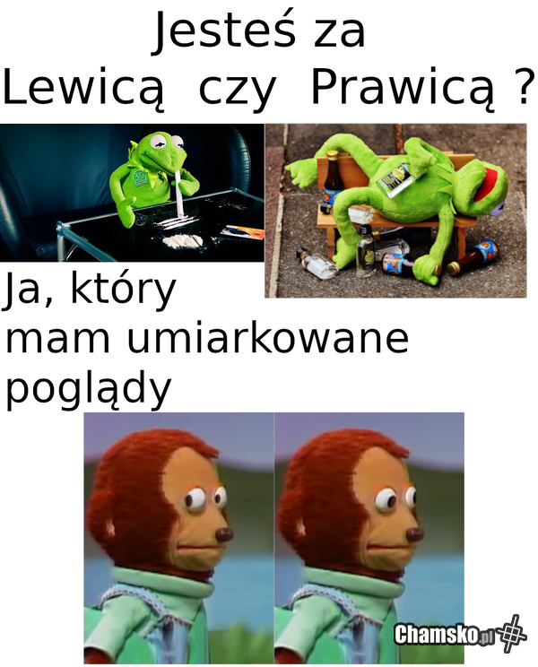 Kompas polityczny