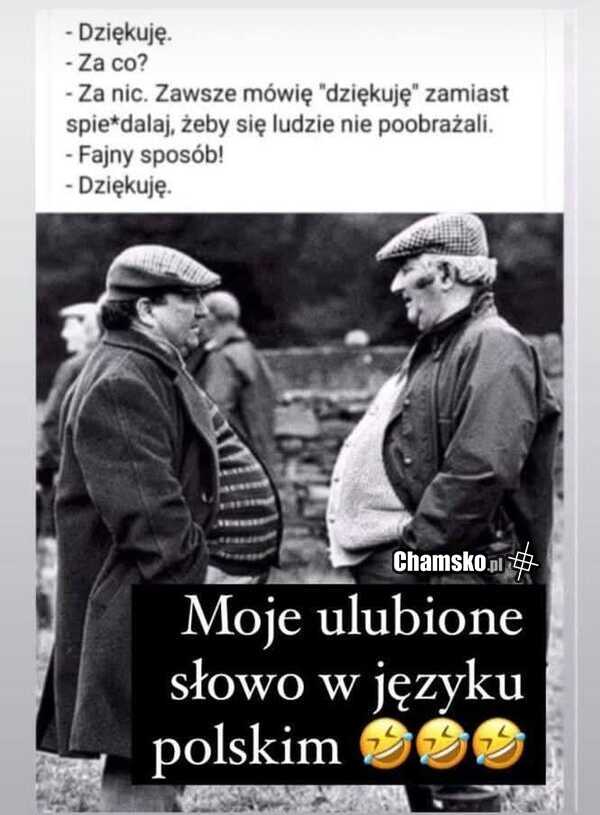 Dziękuje