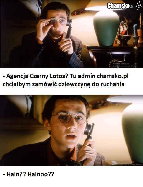 admin chamsko.pl