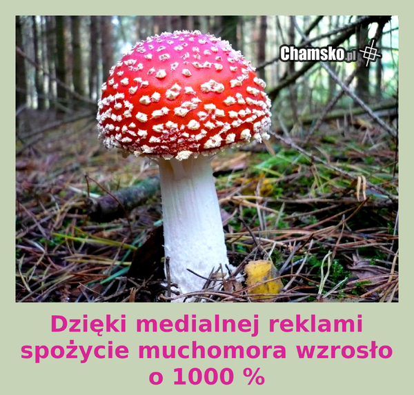 Ślepa Propagada