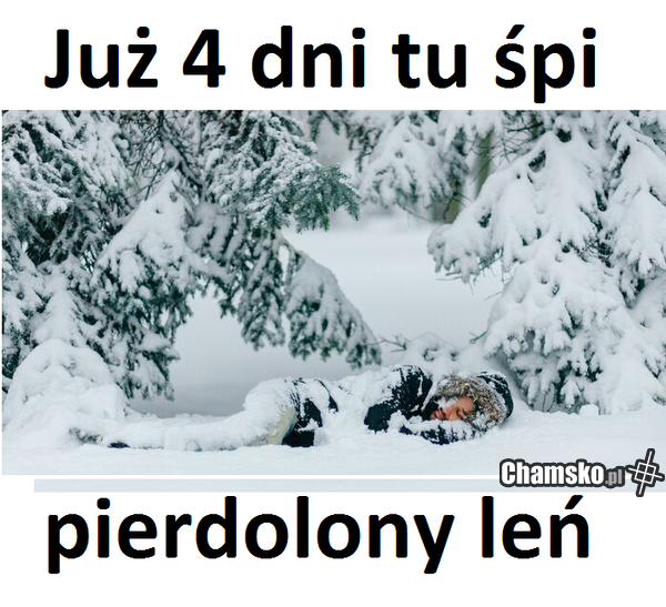 Leń