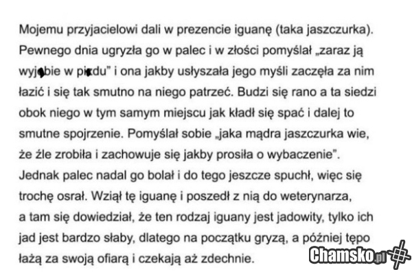 Kochany zwierzaczek