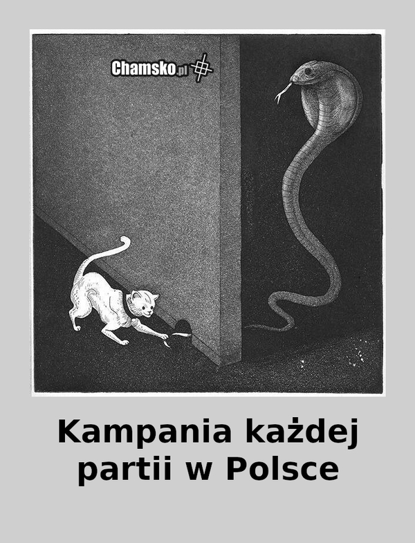 Wybory 2025