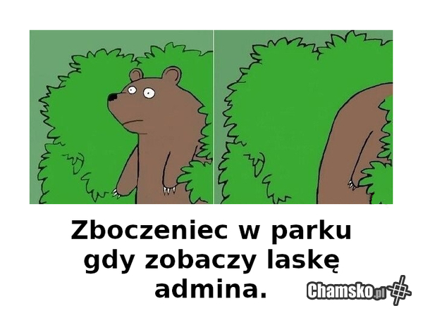 Miś zboczek