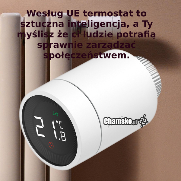 Regulacje AI