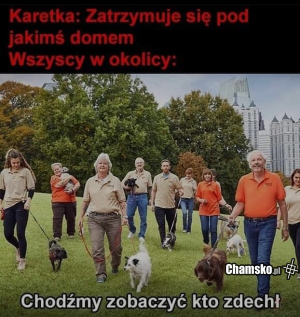 Typowe na blokach