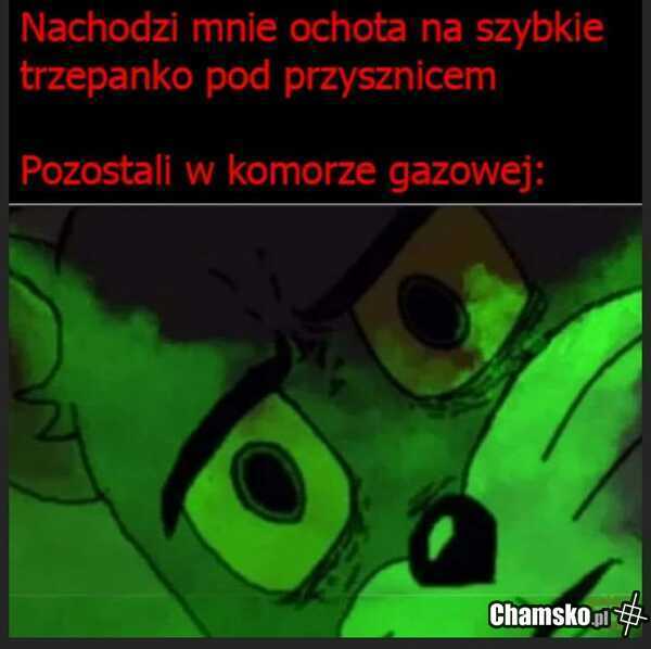 Trzepanko