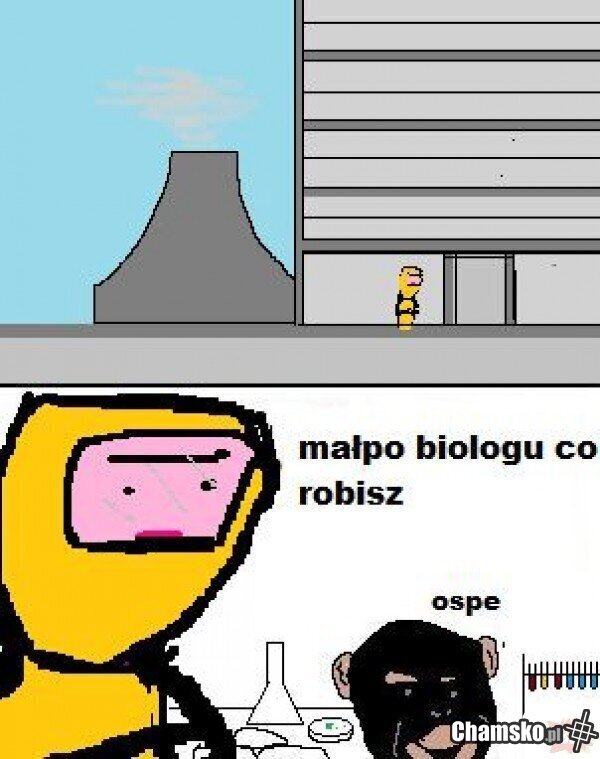 Hehe
