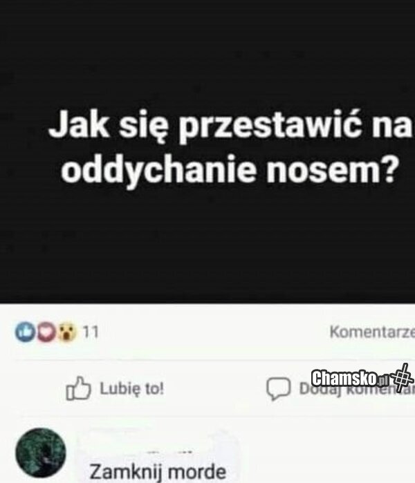 Oddychanie nosem