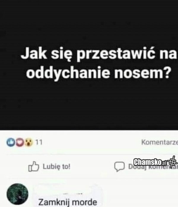 0_1_123683_Oddychanie_nosem_przez_pluszowymis.jpg