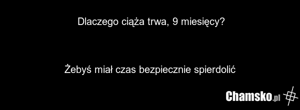 Dlaczego ciąża trwa, 9 miesięcy? Żebyś miał czas bezpiecznie spierdolić