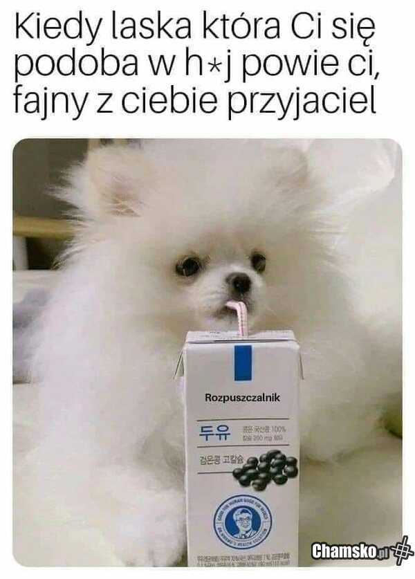 Dobry przyjaciel