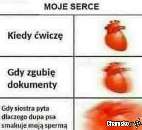 Bicie serca