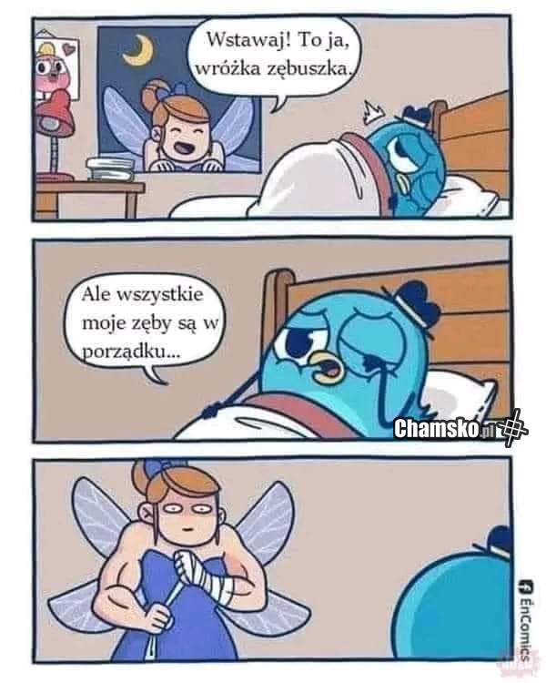 Wróżka