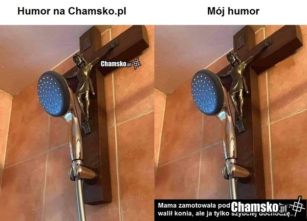 Tak, ukradłem