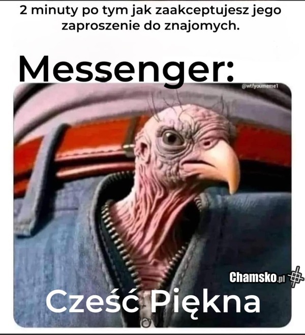 Nowy facet w znajomych