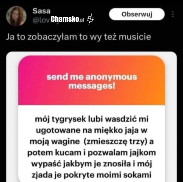 Jajka