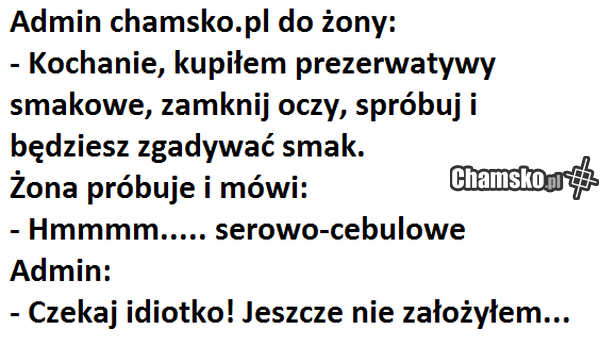 admin chamsko.pl