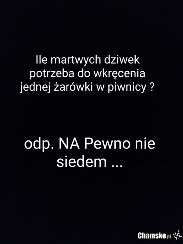 Zagadka