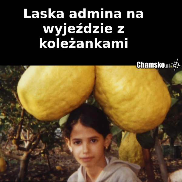 Laska admina
