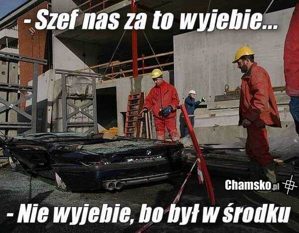 Zwolenienia